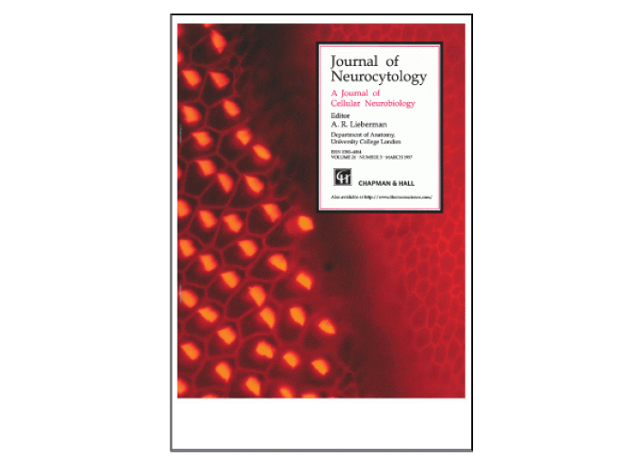 J Neurocytol . 1992 Sep;21 Cover