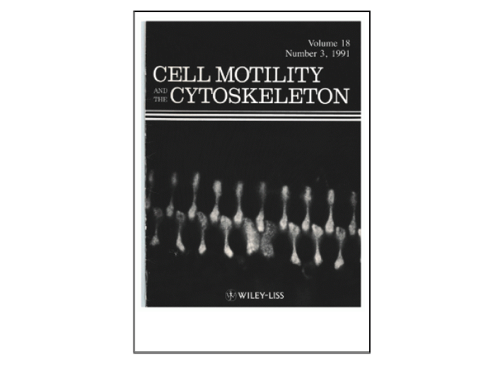 Cell Motility and the Cytoskeleton Cover