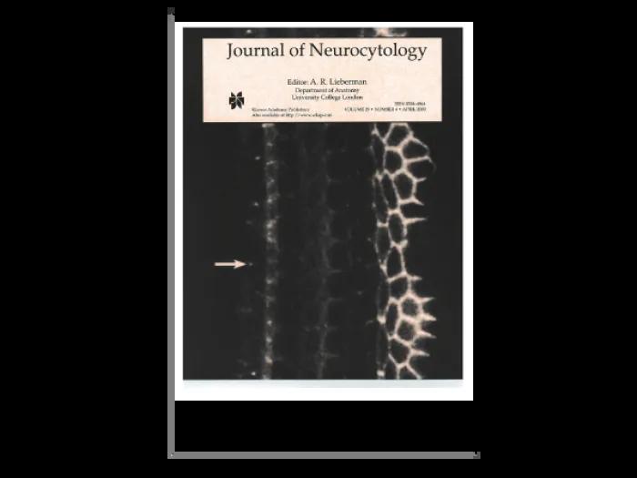 Journal of Neurocytology Cover
