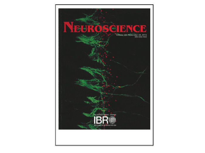 Neuroscience Journal Cover