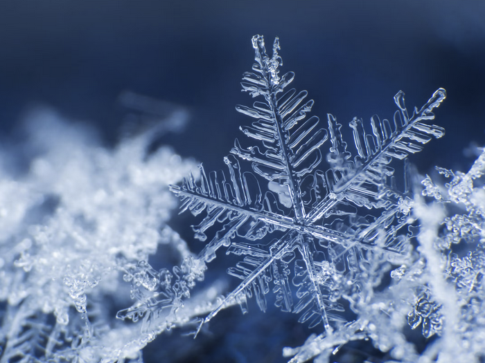 Snowflakes