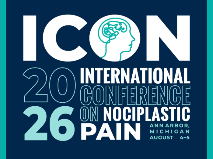 Logo for 2026 ICON Conference