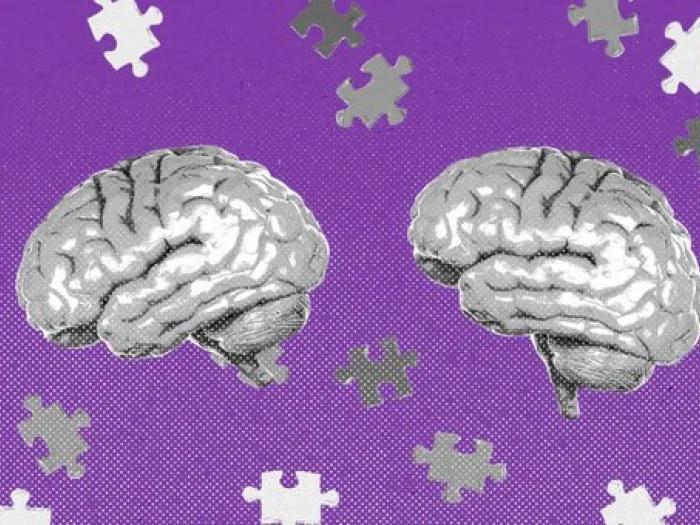 Grayscale brains and puzzle pieces on a purple background
