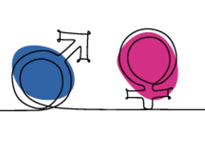 A male and female symbol side-by-side drawn with a continuous line.  The male symbol has a blue circle behind it and the female symbol has a pink circle.