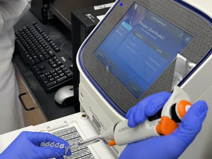 A lab technician wearing gloves is using a micropipette to load samples into a PCR plate