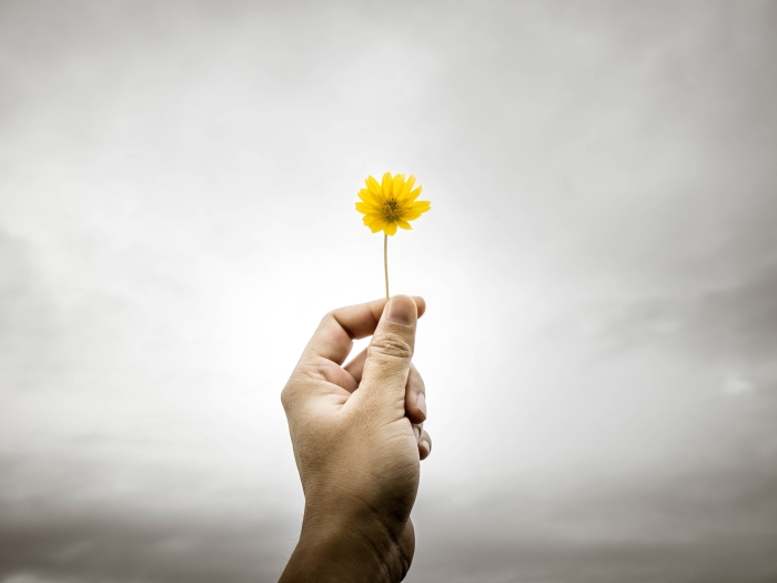 A hand is raised, holding a bright yellow dandelion against a background of gray clouds