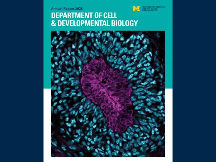 Cell and Developmental Biology annual report 2025 cover