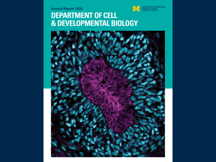 Cell and Developmental Biology annual report 2025 cover