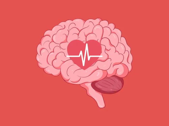 a brain with a heart on top on a red background 