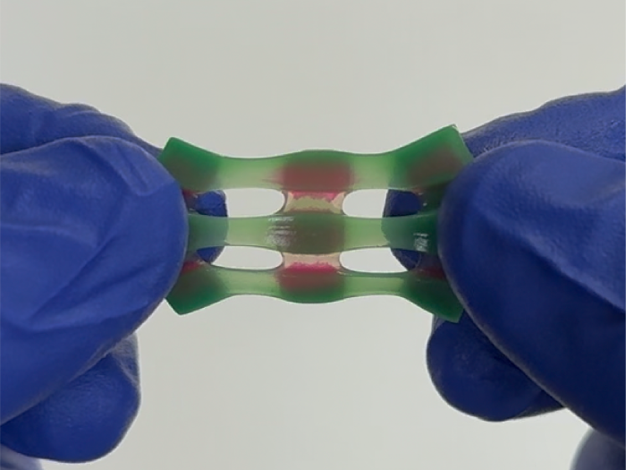 Nam lab image 2