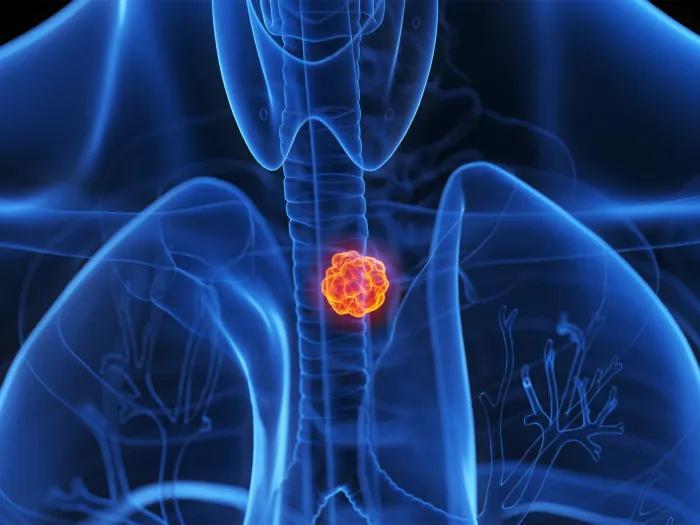 red cells clustered together inside body black light up blue see through