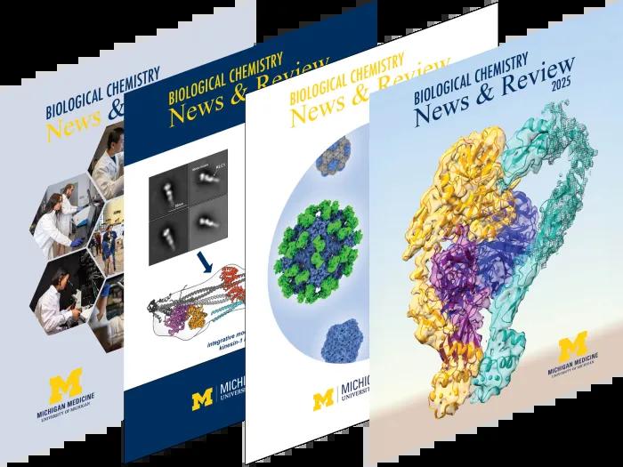 four recent newsletter covers