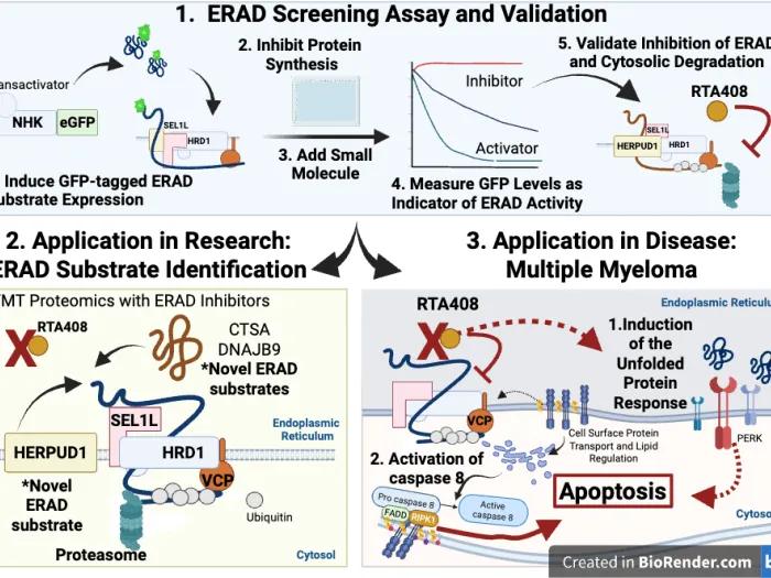 Li Lab Image
