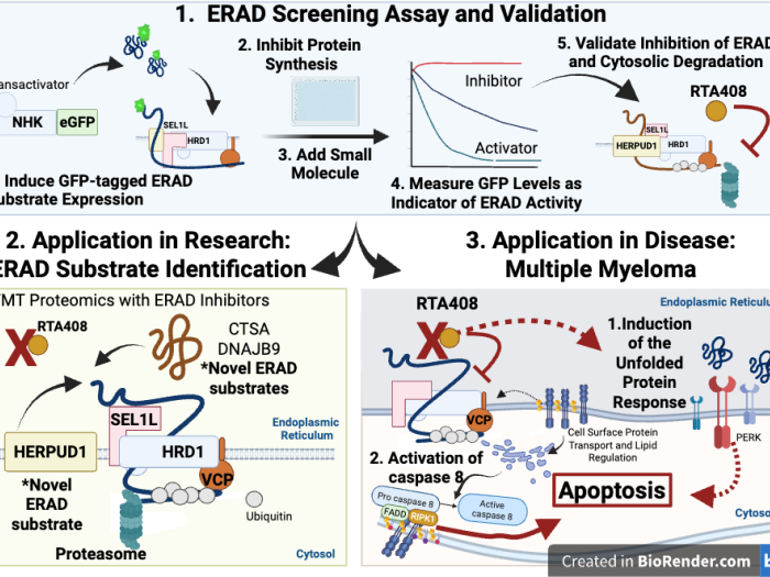 Li Lab Image