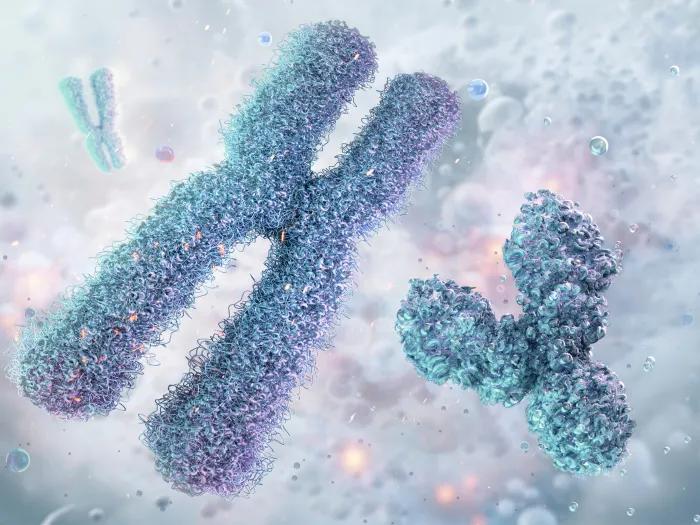 cells floating one looks like an x one looks like a y fuzzy blue vague blue white grey background