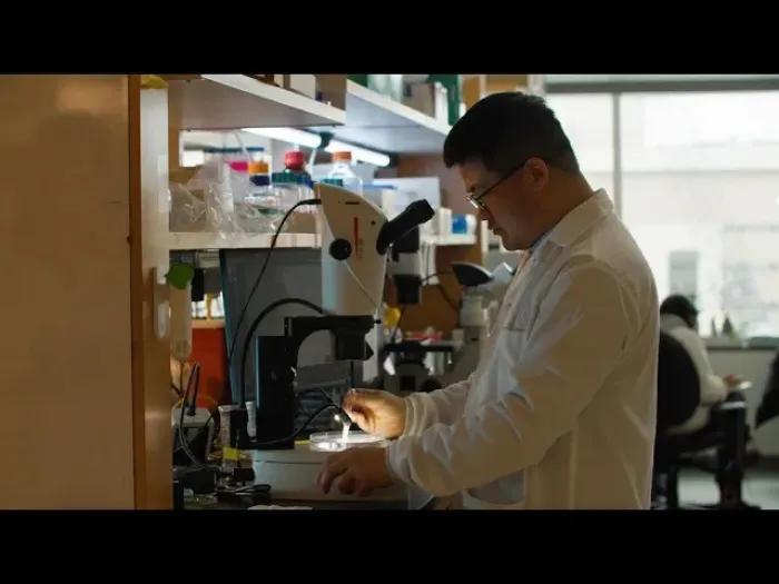 Longhua Guo working in the lab