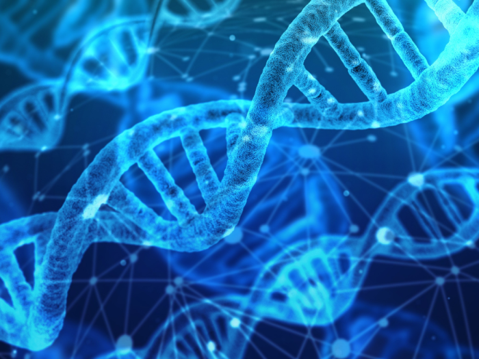 Graphic depiction of dna