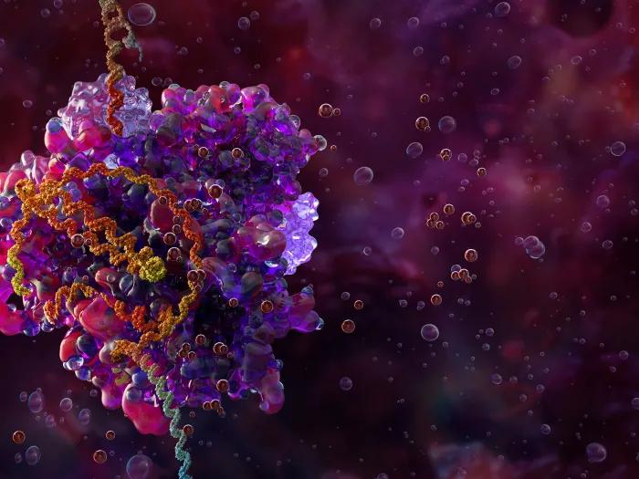 Computer illustration of the CRISPR complex on DNA