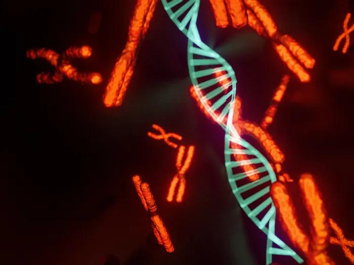 Computer image of a blue DNA strand and red chromosomes on a black background