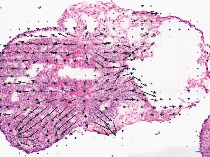 Welch Lab Image