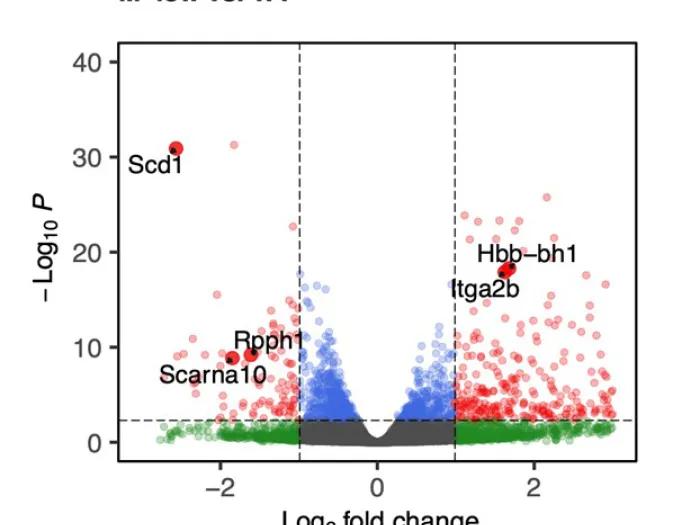 Singh Lab Image