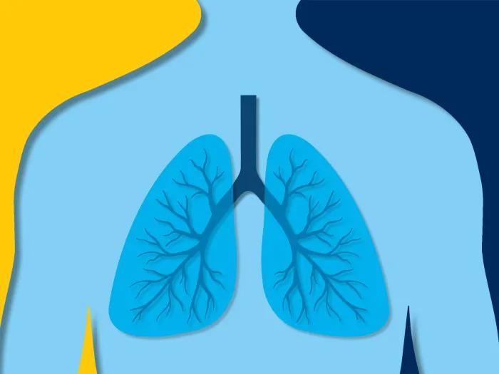 lungs in blue body with yellow and navy background 