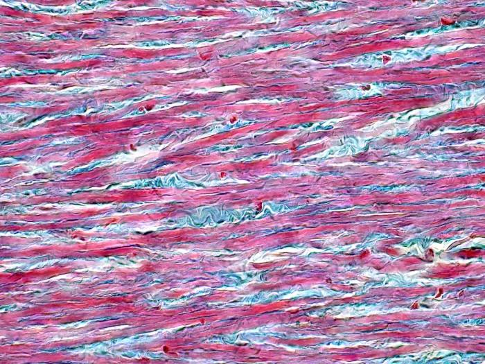 pink and blue mixed in close up