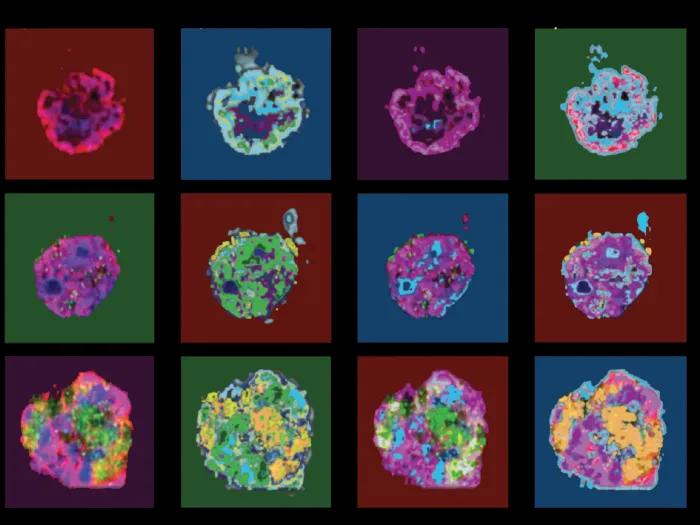 water color cells black background colorful