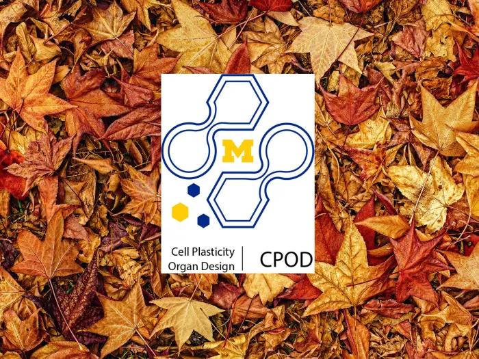 CPOD F26 Newsletter Cover
