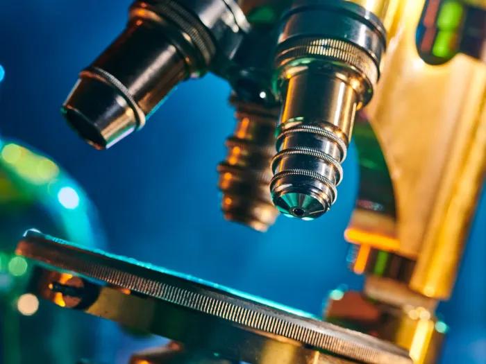 stock microscope image