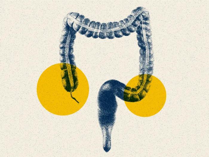 Stylized illustration of the gastric system