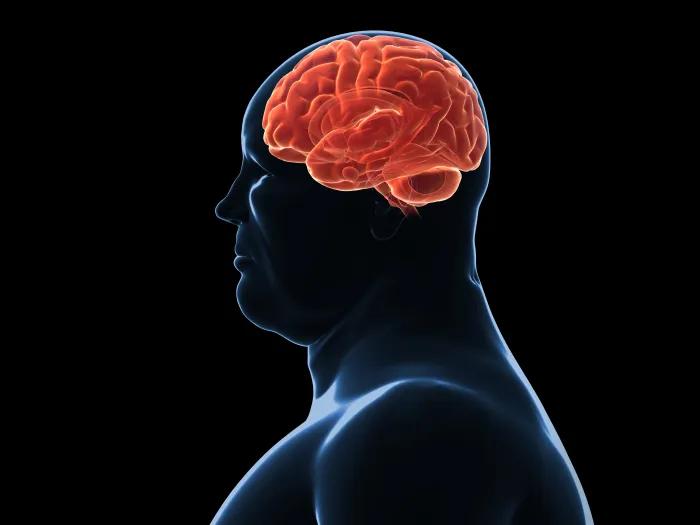 Outline of an obese man with his brain showing in orange