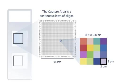 Visium HD Slide Configuration