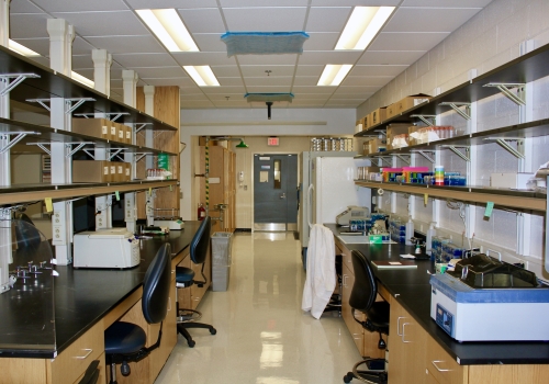 Lab