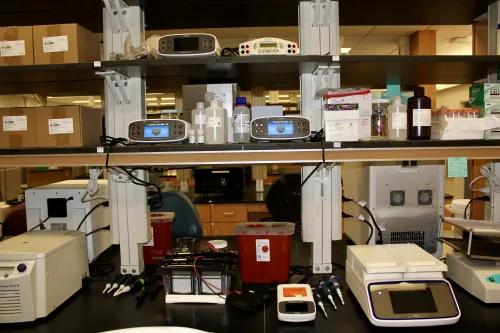 Gel Blot Station