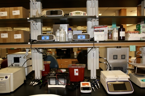 Gel Blot Station
