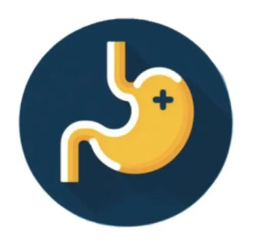 Gerd/Reflux logo