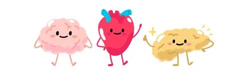 Brain Heart Pancreas