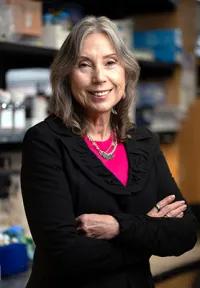 Sofia Merajver, MD, PhD