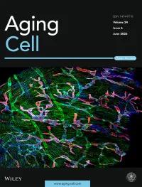 Aging Cell Cover Rosenzweig Feature