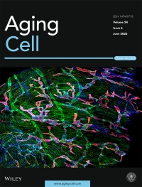 Aging Cell Cover Rosenzweig Feature