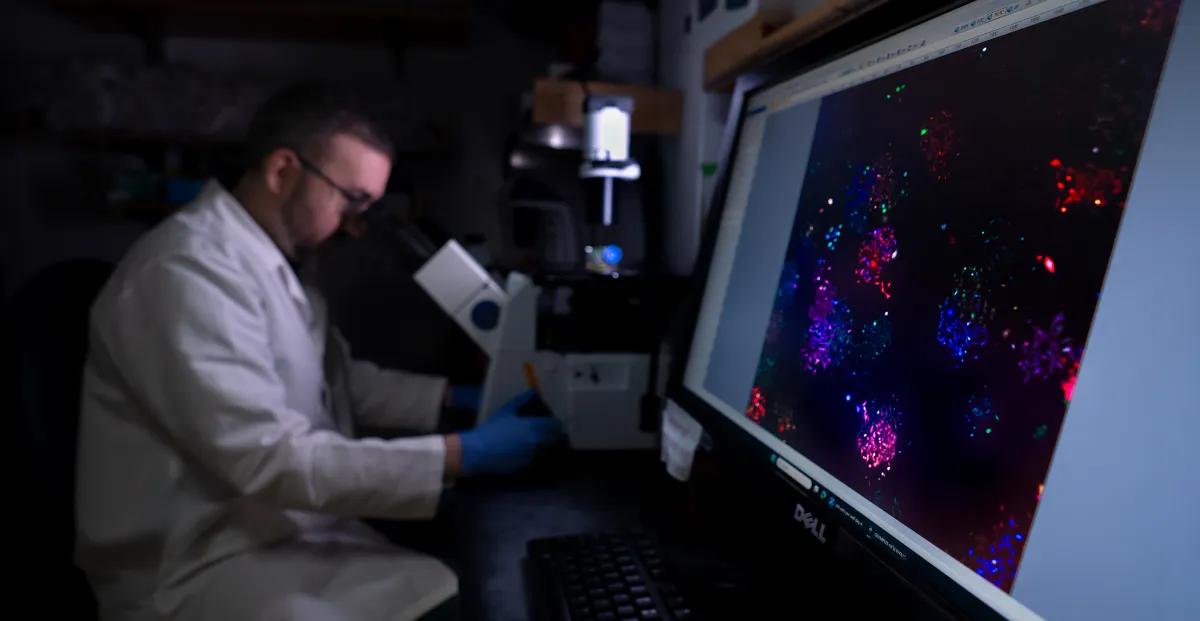 Scientist using a microscope with projected image
