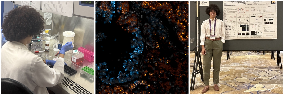 jtari Immune Environment Photo