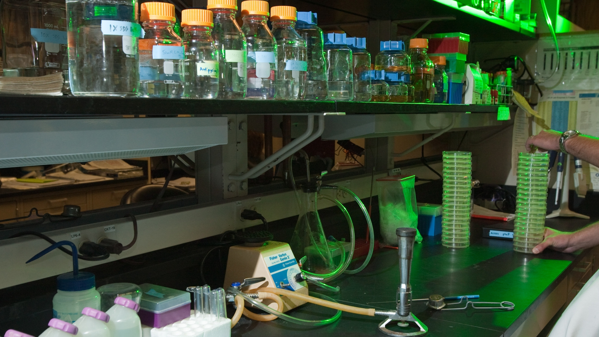 Counter in lab showing lab equipment under greenish glow