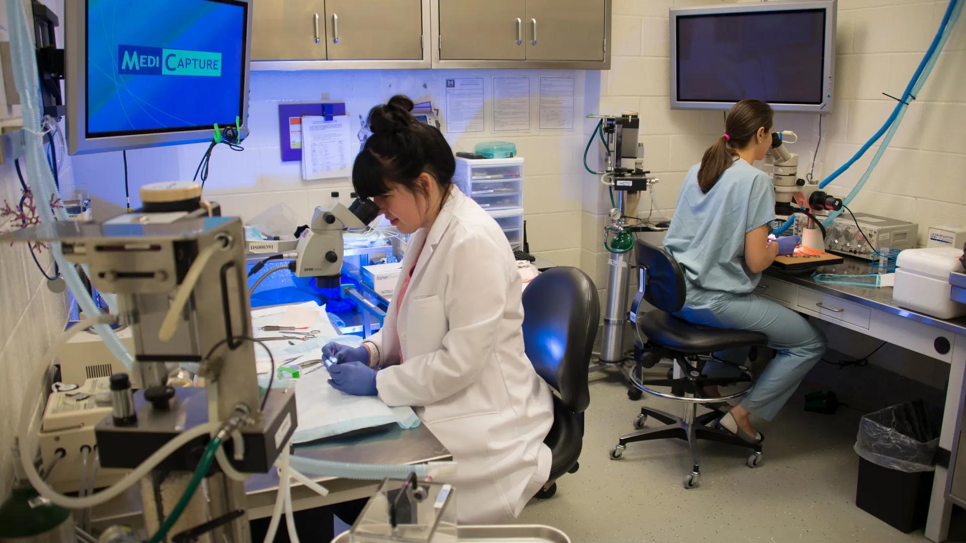 two research fellows are in a lab in the ncrc research spaces 