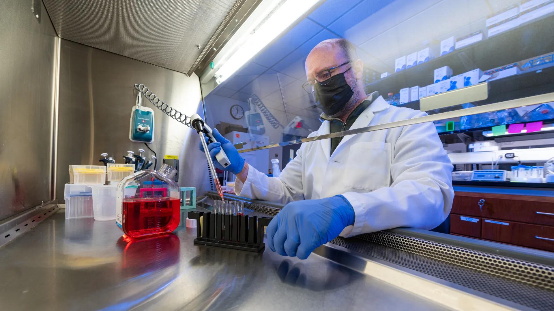 Research staff in a lab
