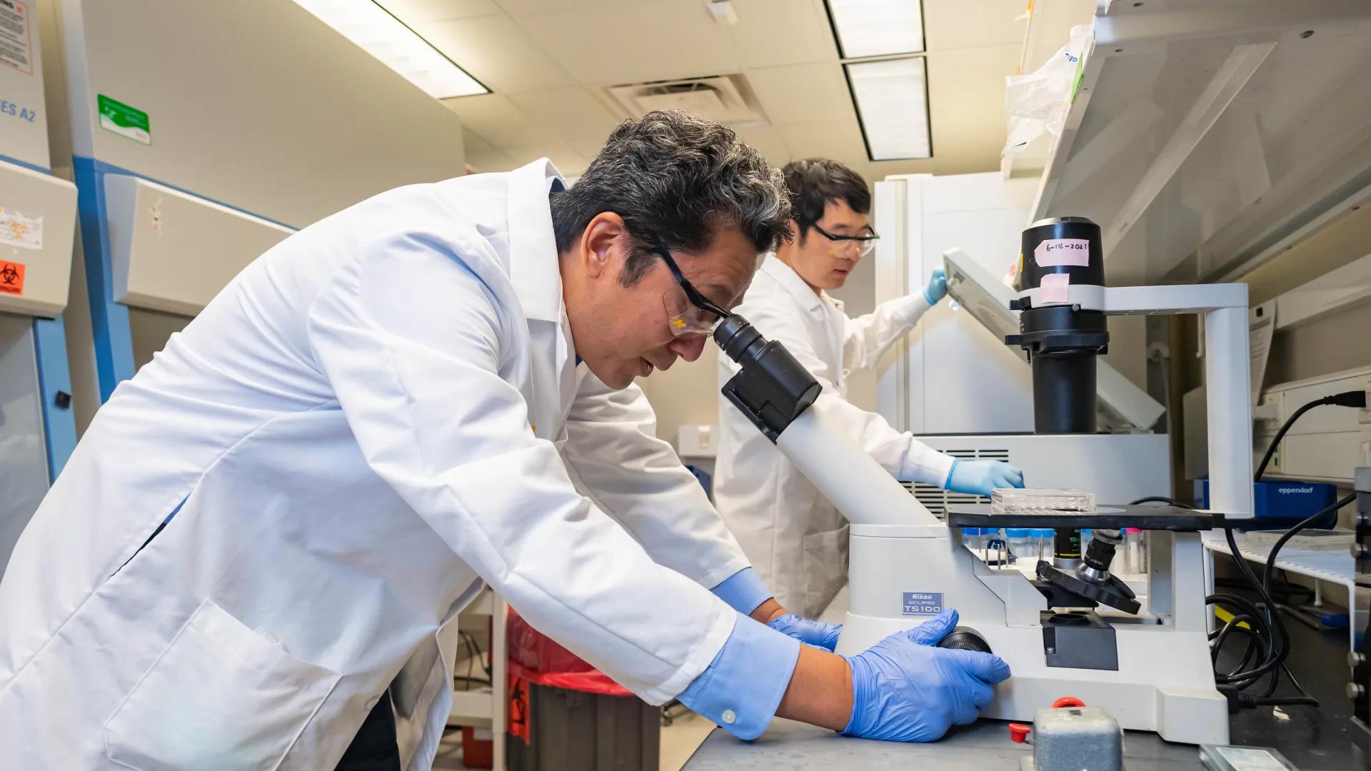 健康・医学 mi About Research at the Frankel Cardiovascular Center | University