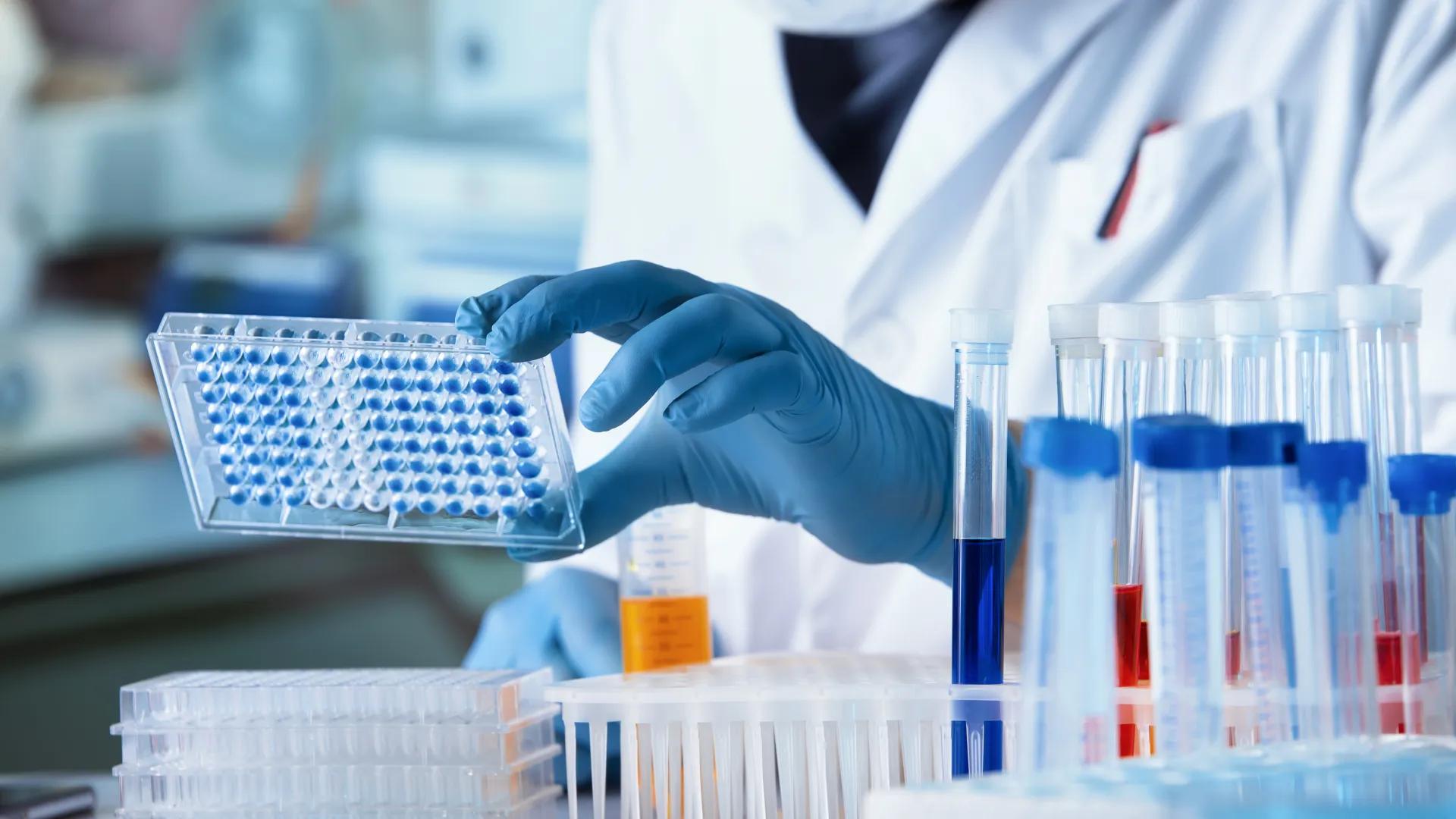 Hand with blue gloves holding a lab sample.