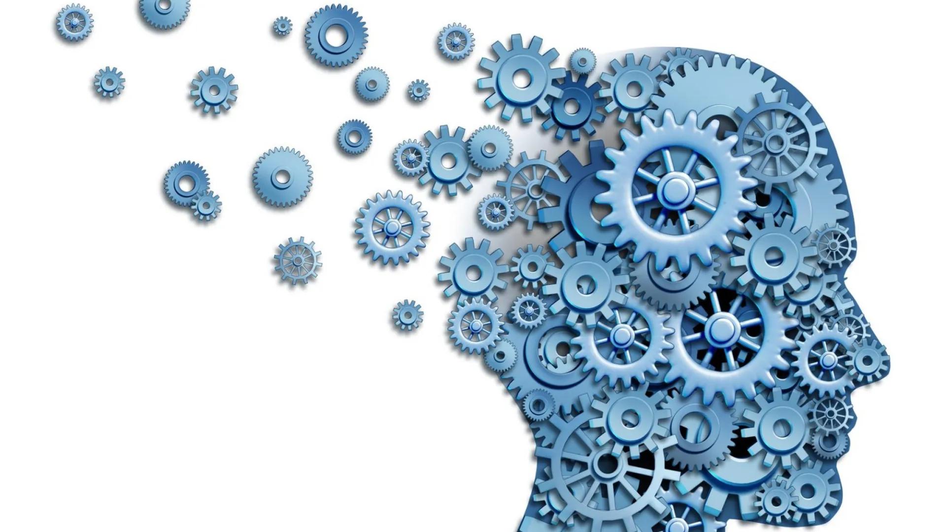 brain