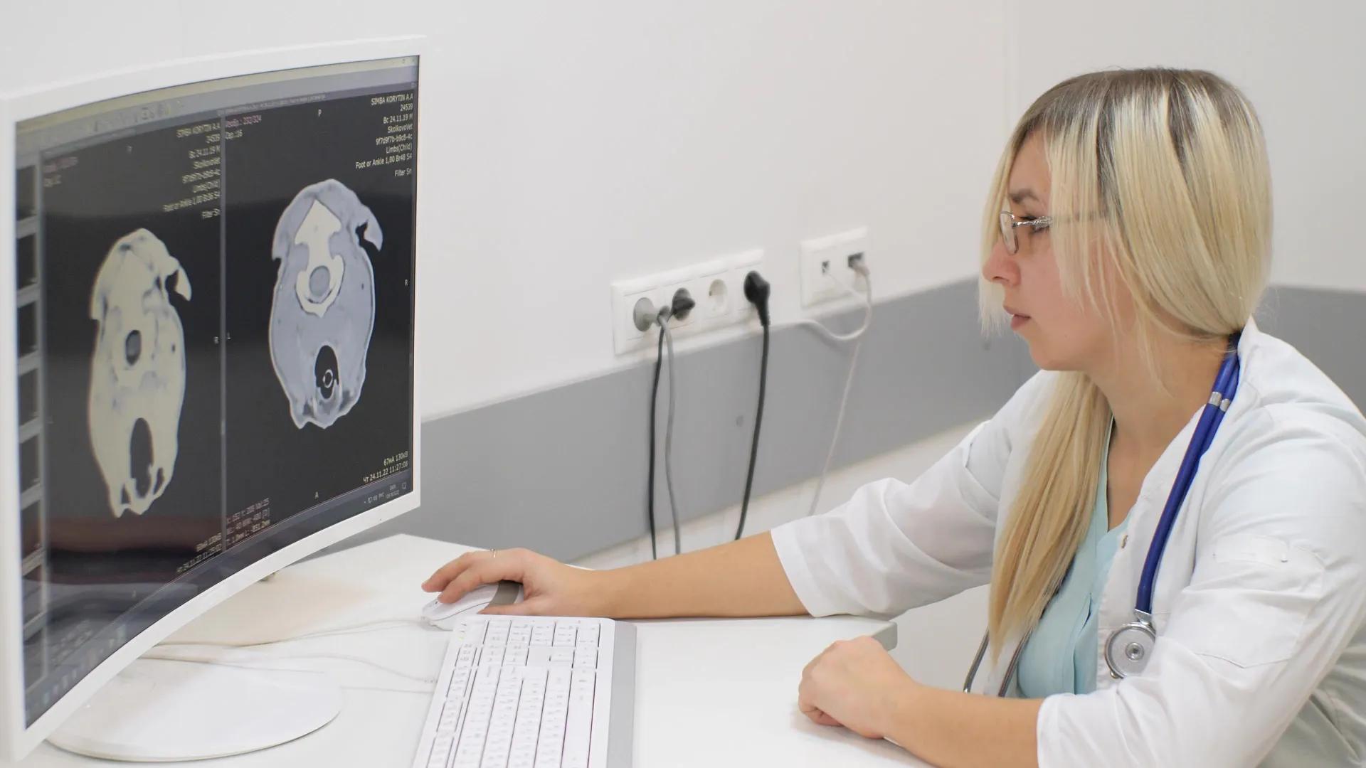 FMRI Physician looks at animal MRIs on screen
